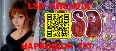 стафф Кимры
