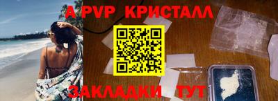 твердый Кингисепп