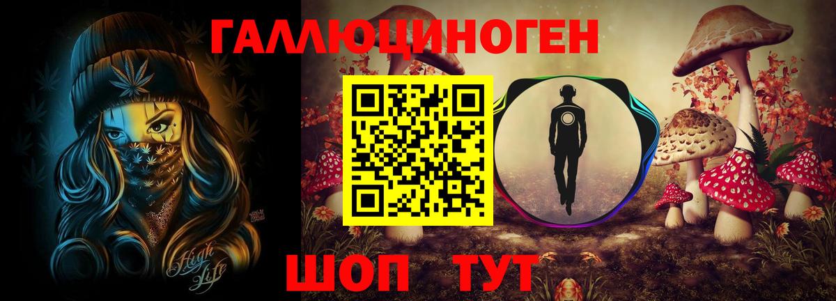 Галлюциногенные грибы Psilocybine cubensis Корсаков