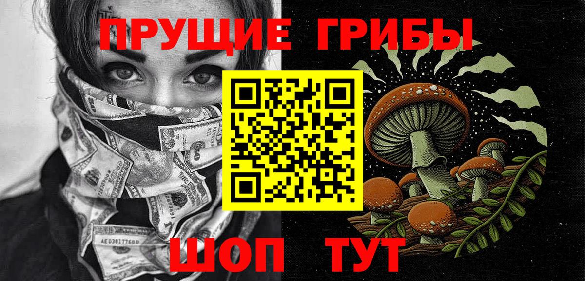 Корсаков  Псилоцибиновые грибы MAGIC MUSHROOMS  Вход с VPN  Псилоцибиновые грибы прущие грибы 
